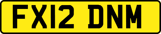 FX12DNM