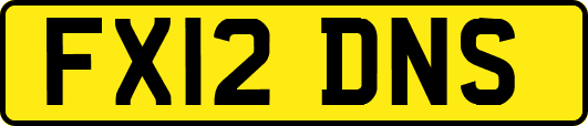 FX12DNS