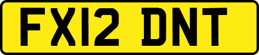 FX12DNT
