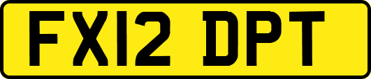 FX12DPT
