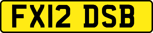 FX12DSB