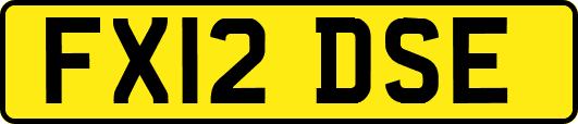 FX12DSE