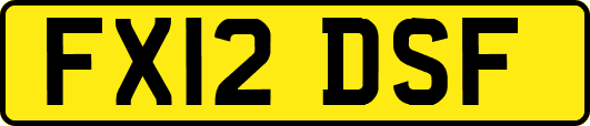 FX12DSF