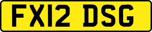 FX12DSG