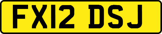 FX12DSJ