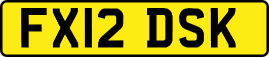 FX12DSK