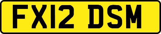 FX12DSM