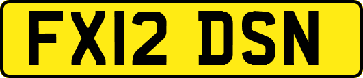 FX12DSN