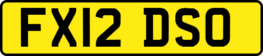 FX12DSO