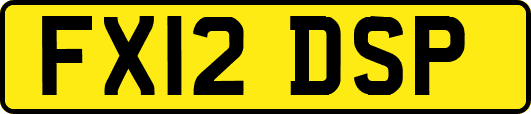 FX12DSP