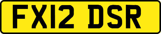 FX12DSR