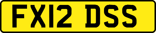 FX12DSS