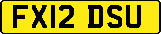 FX12DSU