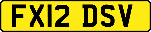 FX12DSV