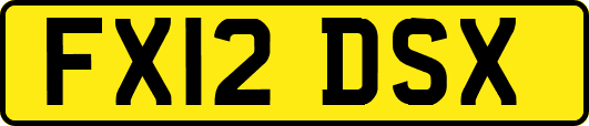 FX12DSX