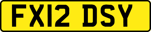 FX12DSY