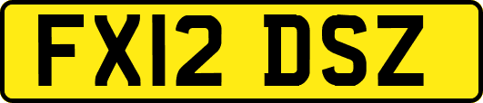 FX12DSZ