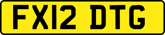FX12DTG