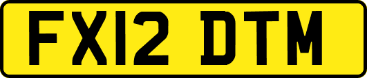 FX12DTM