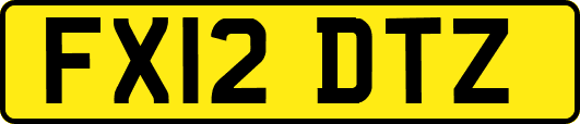 FX12DTZ