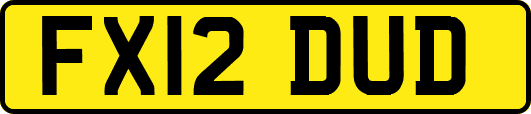 FX12DUD