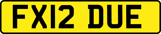 FX12DUE