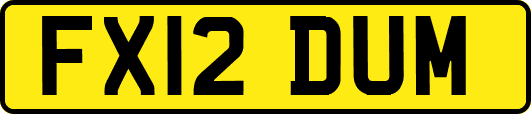 FX12DUM