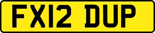 FX12DUP