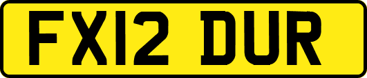 FX12DUR