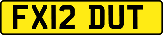 FX12DUT
