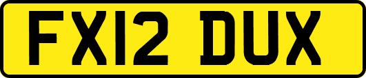 FX12DUX