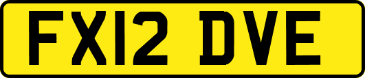 FX12DVE