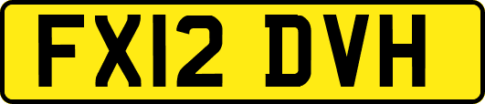 FX12DVH