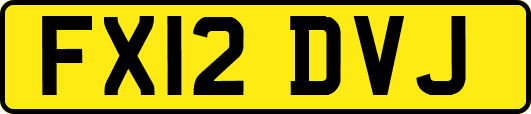 FX12DVJ