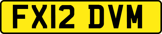 FX12DVM