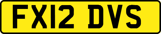 FX12DVS
