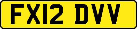 FX12DVV