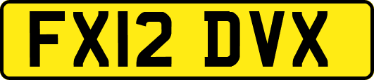 FX12DVX