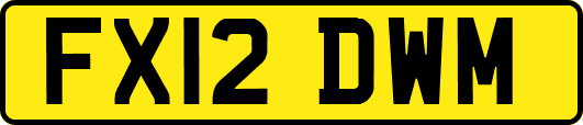 FX12DWM