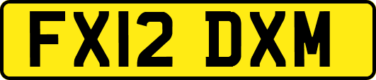 FX12DXM