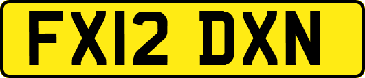 FX12DXN