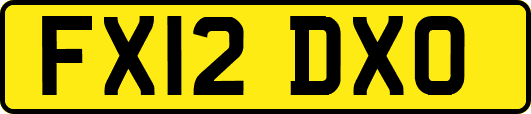 FX12DXO