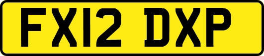 FX12DXP