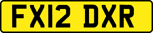 FX12DXR