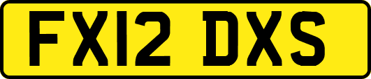 FX12DXS