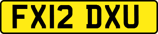 FX12DXU