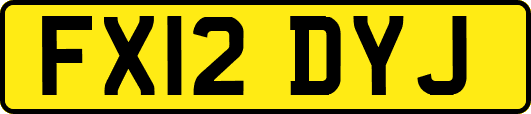 FX12DYJ