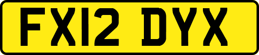 FX12DYX