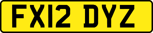 FX12DYZ