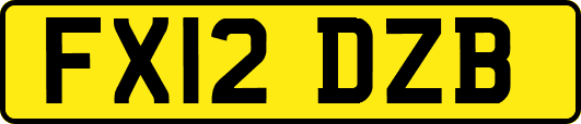 FX12DZB